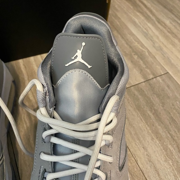 NIKE AIR JORDAN POINT LANE WOLF GREY-WHITE-COOL GREY SZ 10.5 [CZ4166-002] - Picture 3 of 11